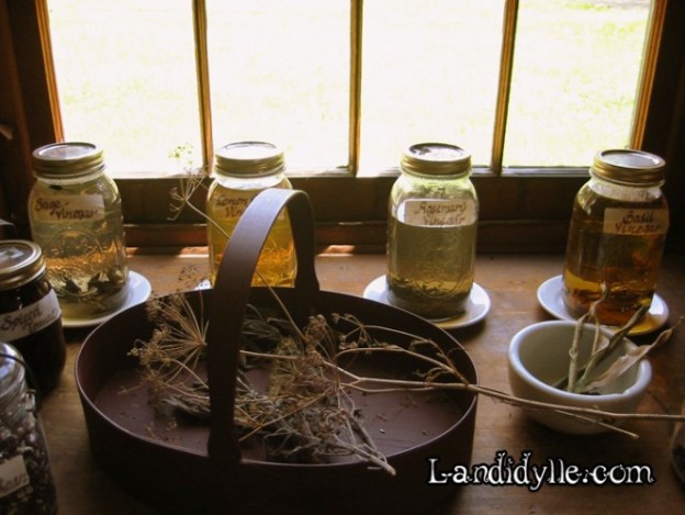 naturheilmittel-666x500