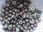 blaubeeren2