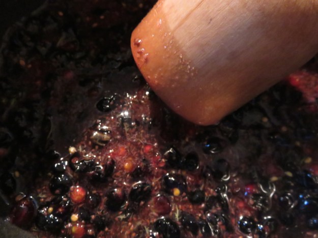 crema-balsamica-cassis