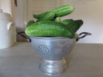 einlegegurken_ueberfluss