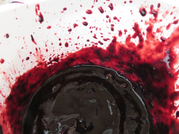 waldblaubeer-balsamico3