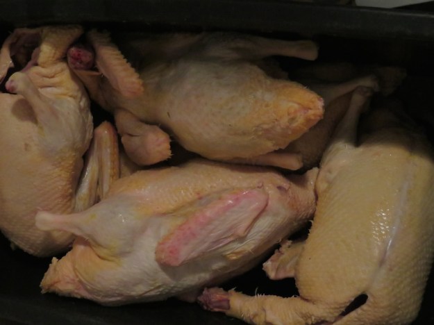 enten-schlachtkoerper