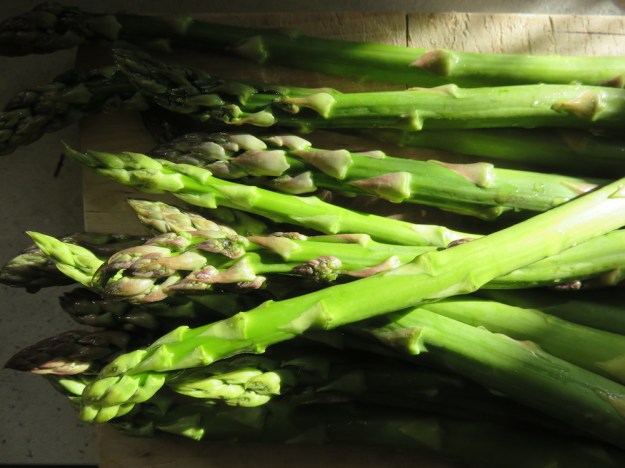 gruner_spargel