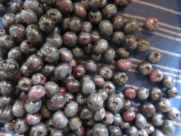 blaubeeren