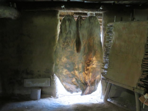 fliegentuer-steinzeit