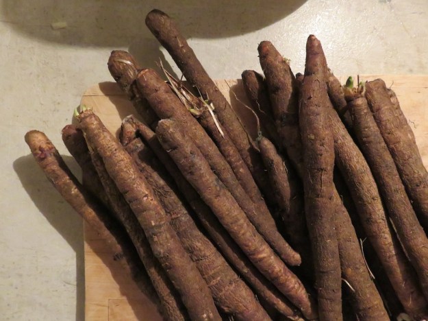 schwarzwurzeln-risotto5