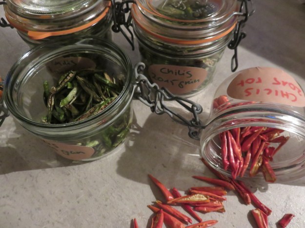 getrocknete-chilis2