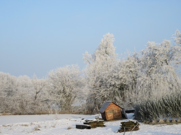 haus-am-see-im-winter