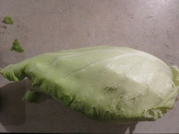 kokos-ingwer-suppe-filderkraut-pute2