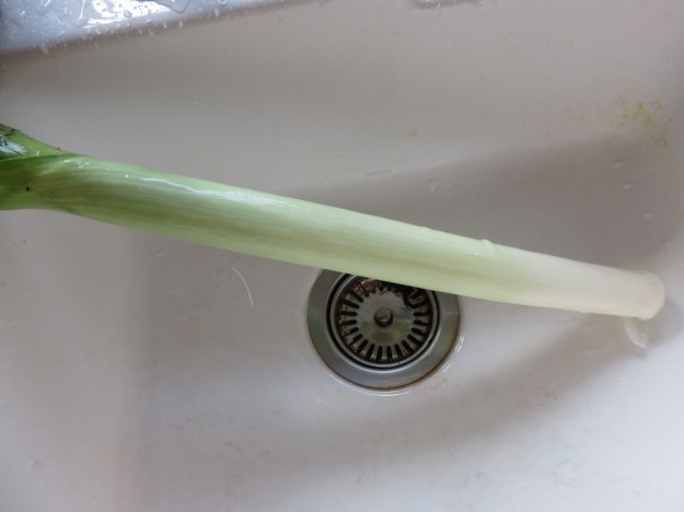 porree-extraweit-gebleicht