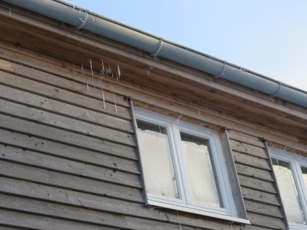Unser Haus hängt offenbar voller Spinnweben, jetzt gut zu sehen durch Raureif