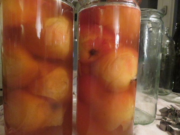 aepfel-in-pikantem-apfelsirup