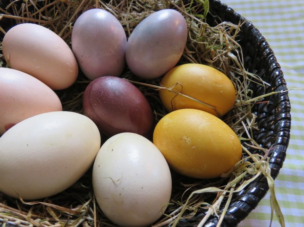 ostereier-naturfarben