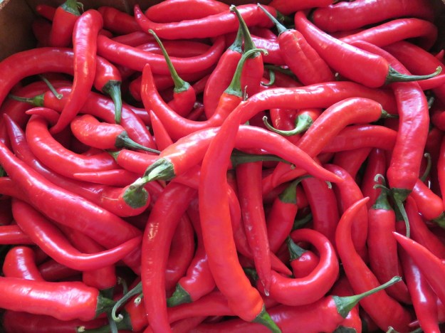 pimientos-picantes-rojo-fino
