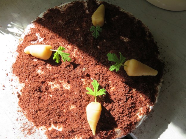 Rübli-Kuchen mit Pastinake