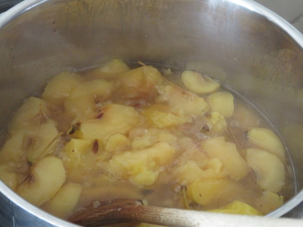 Apfelmus ohne Zucker