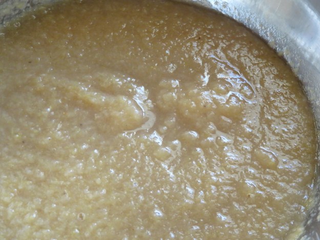 Apfelmus ohne Zuckerzusatz