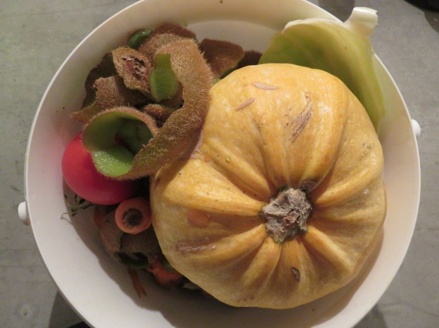 kaninchenfutter-eimer