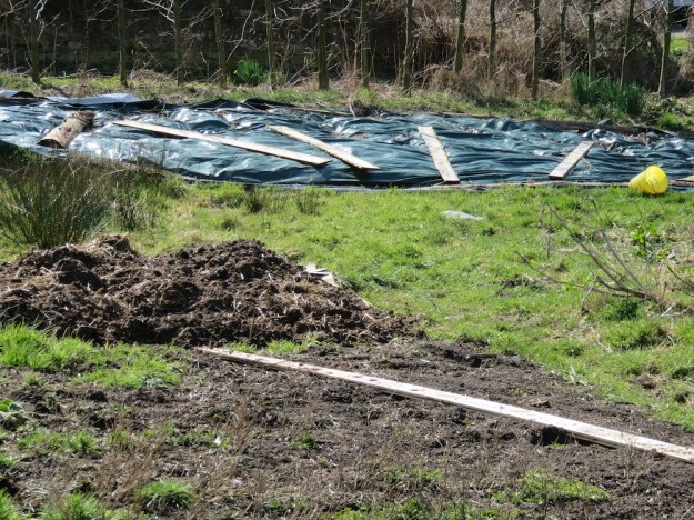 landgewinnung-neu-beetabdeckung