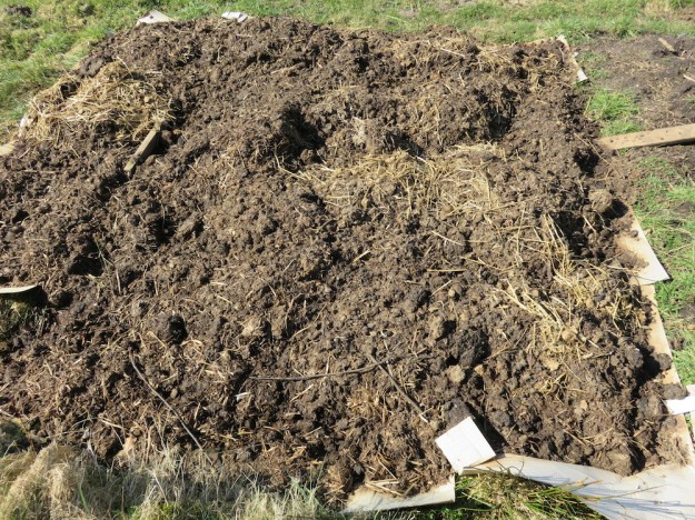 landgewinnung-neu-mist