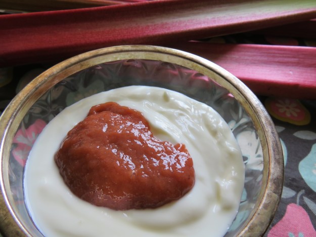 erdbeer-rhabarber-joghurt-selstgemacht