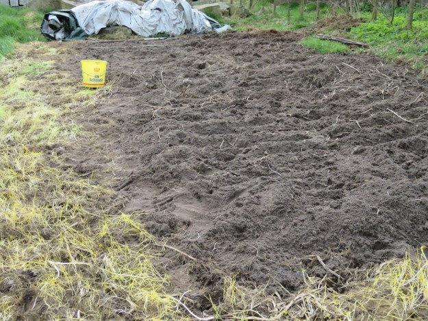 Kartoffelacker fertig bestellt