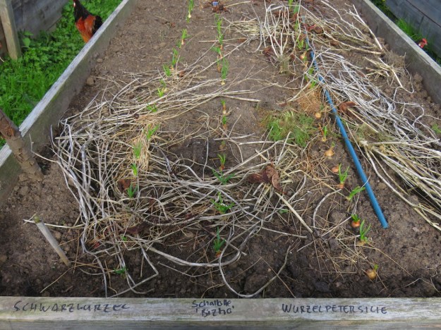 Diese Beschriftung hält zumindest solange, bis man eh sieht was dort wächst