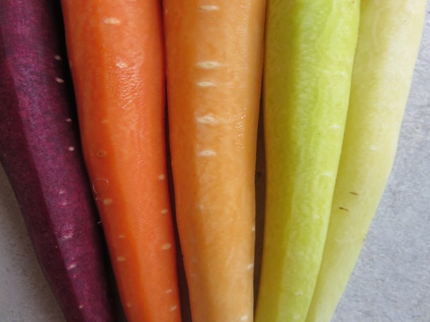 karotten-regenbogen