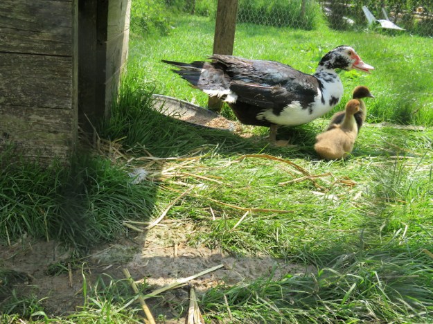 mutter-kind-einheit1