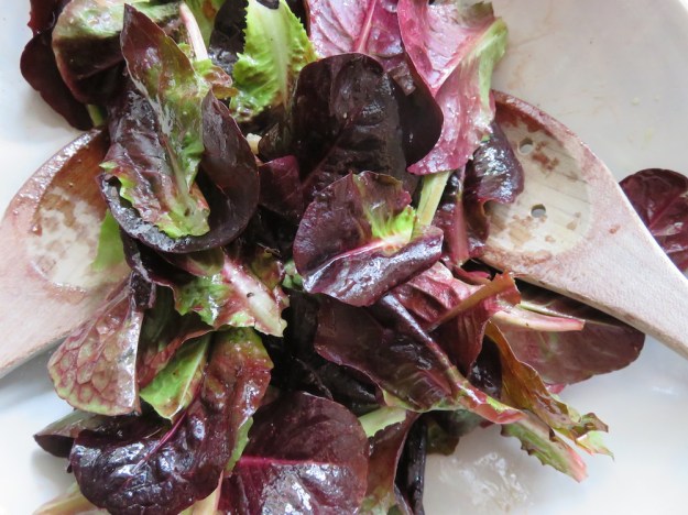 roter-feldsalat-romana