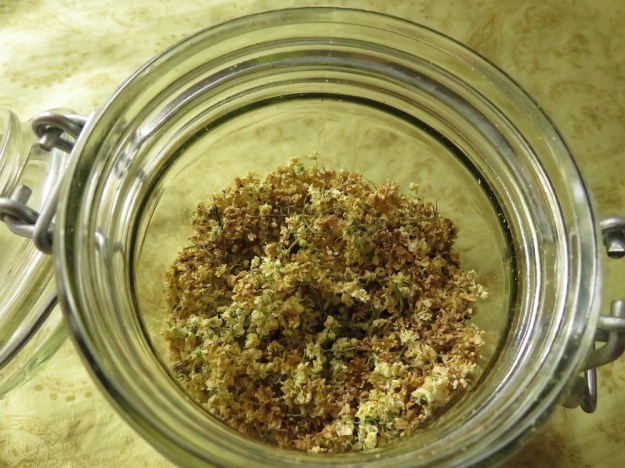 getrocknete-holunderblüten