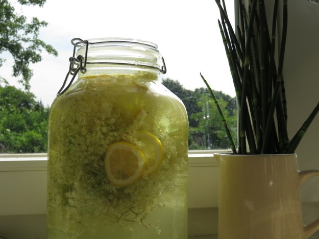 holundersekt-fermentiert3