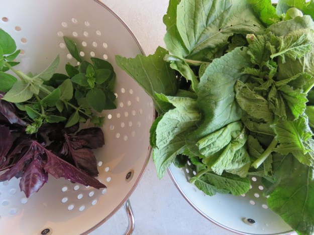 Rettichblätter-Pesto