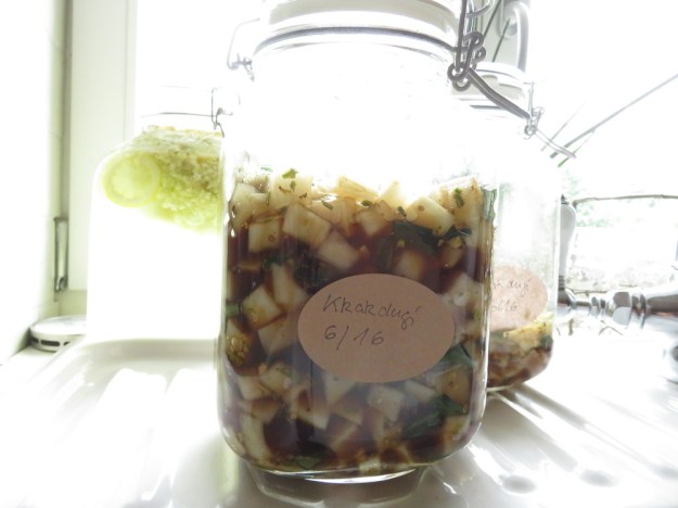 kkakdugi-rettich-kimchi