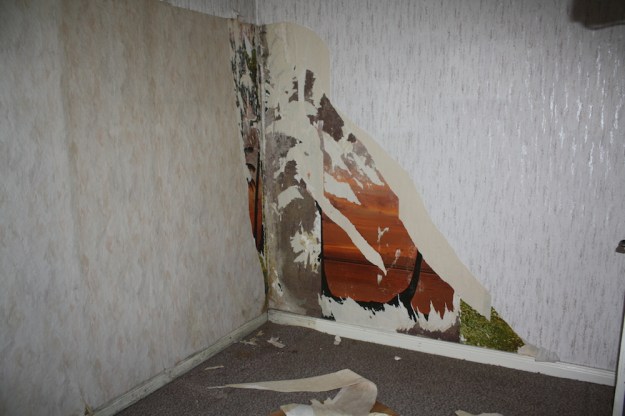 tolle geschichte der tapeten