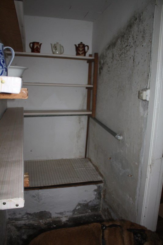 urzustand mit schimmel an der wand