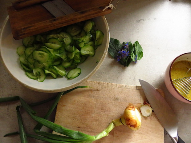 Gurkensalat mit Senf-Vinaigrette