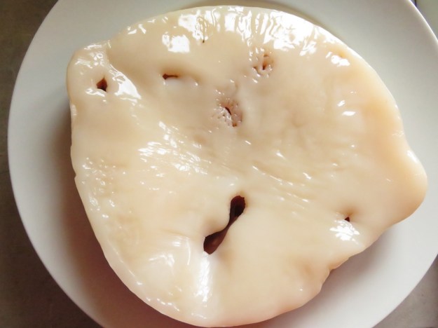 Mega Mutter, anscheinend sind die Bedingungen meiner Herstellung im Gärtopf ideal