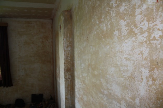 tapeten ab vorsprung noch da