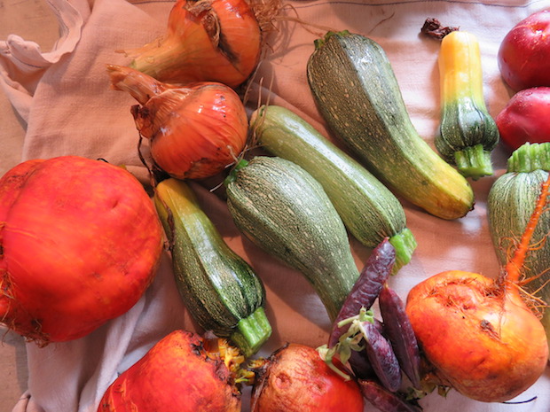 Zwiebeln, Bete, Zucchini und Eier gibt es nun satt & dreckig