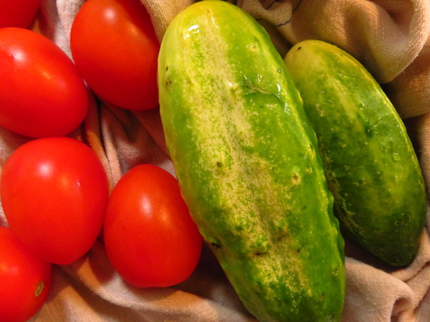Tomaten, Einlegegurken