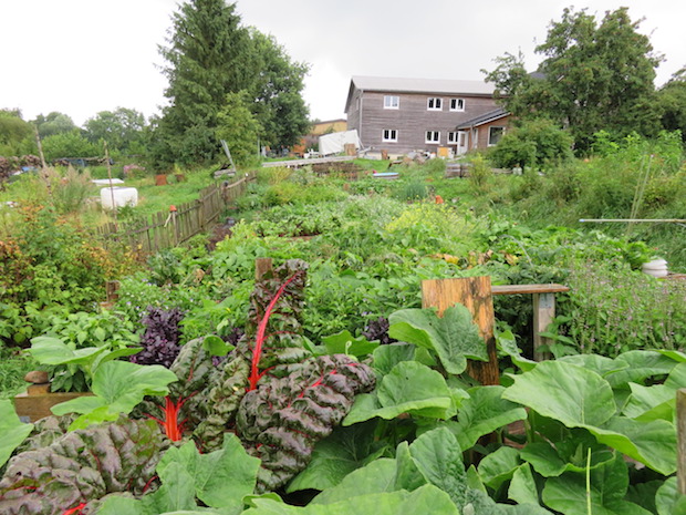 Überblick bei Regen