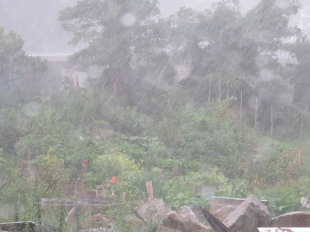 Dauerregen Sommer 2016