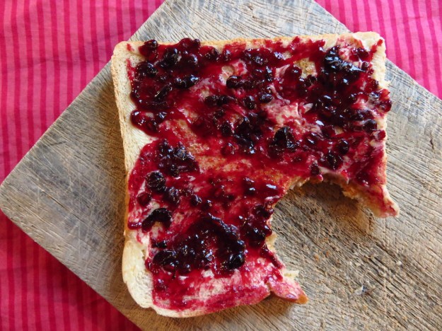 Holunder und Pflaume