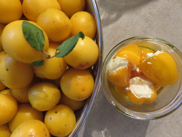 kaese-mirabellen-fuellung