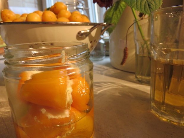 mini-paprika-gefuellt