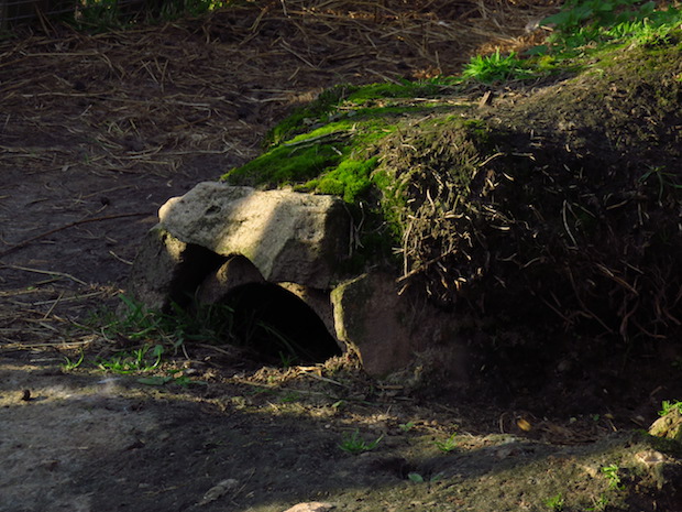 hobbithoehle-fuer-kaninchen