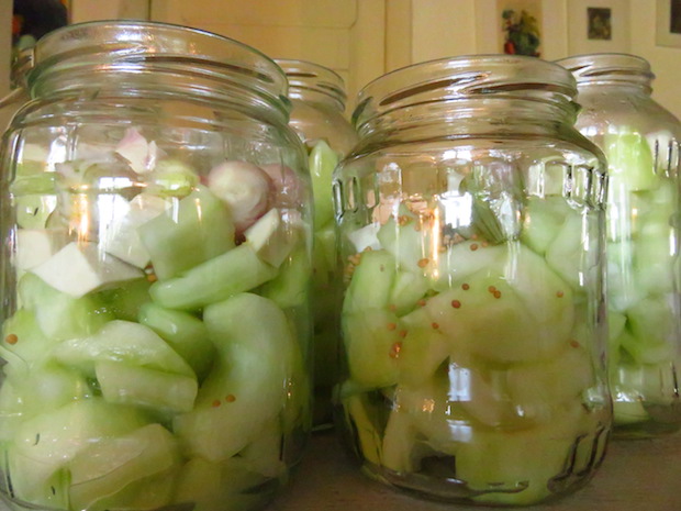 Senfgurken ohne Senfkörner