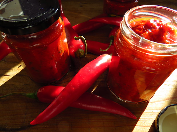 Pindjur selber machen, ein bosnisches Rezept