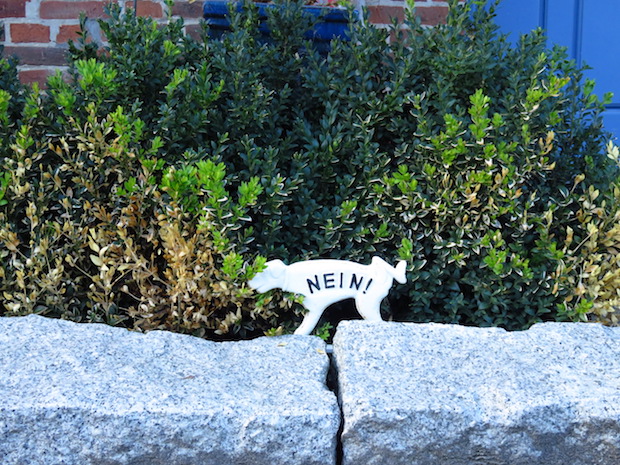 Jemand lässt zu, dass sein Rüde meine Buchsbaumhecke an der Strasse totpinkelt, ob Schilder helfen?